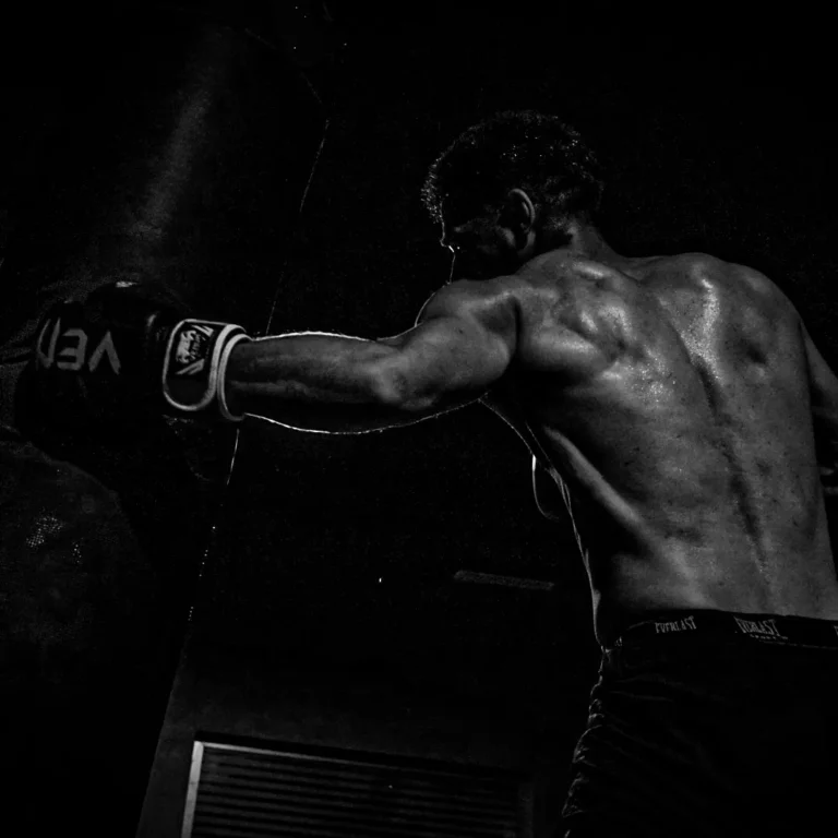 Circuit Boxing